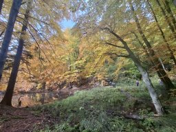 56634220512824028003543323756089874692274960n